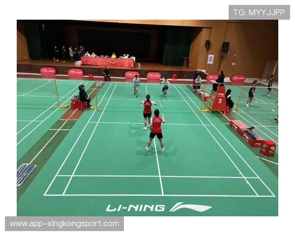 武汉羽毛球队成长历程的真实记录与奋斗精神的传承 武汉羽毛球队成长历程的真实记录与奋斗精神的传承