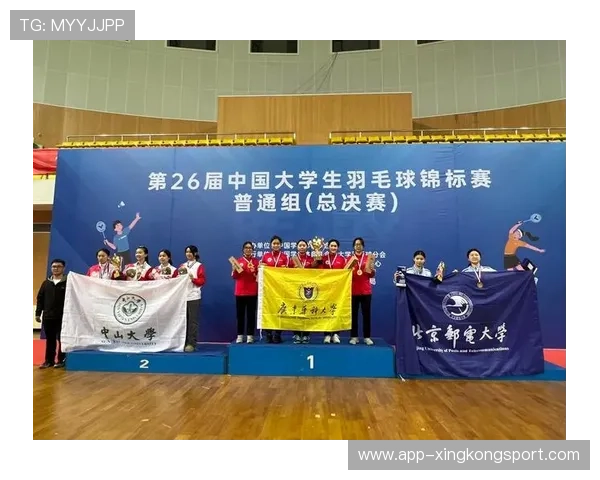 武汉羽毛球队总决赛精彩表现分析展现团队力量与竞技精神 武汉羽毛球队总决赛精彩表现分析展现团队力量与竞技精神