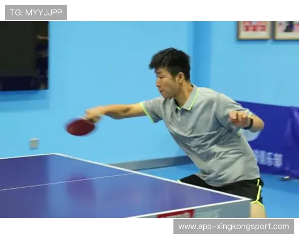 乒乓球的舞台上刘磊的奋斗与荣耀之路深度对话